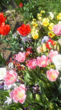 2014041709330000.jpg